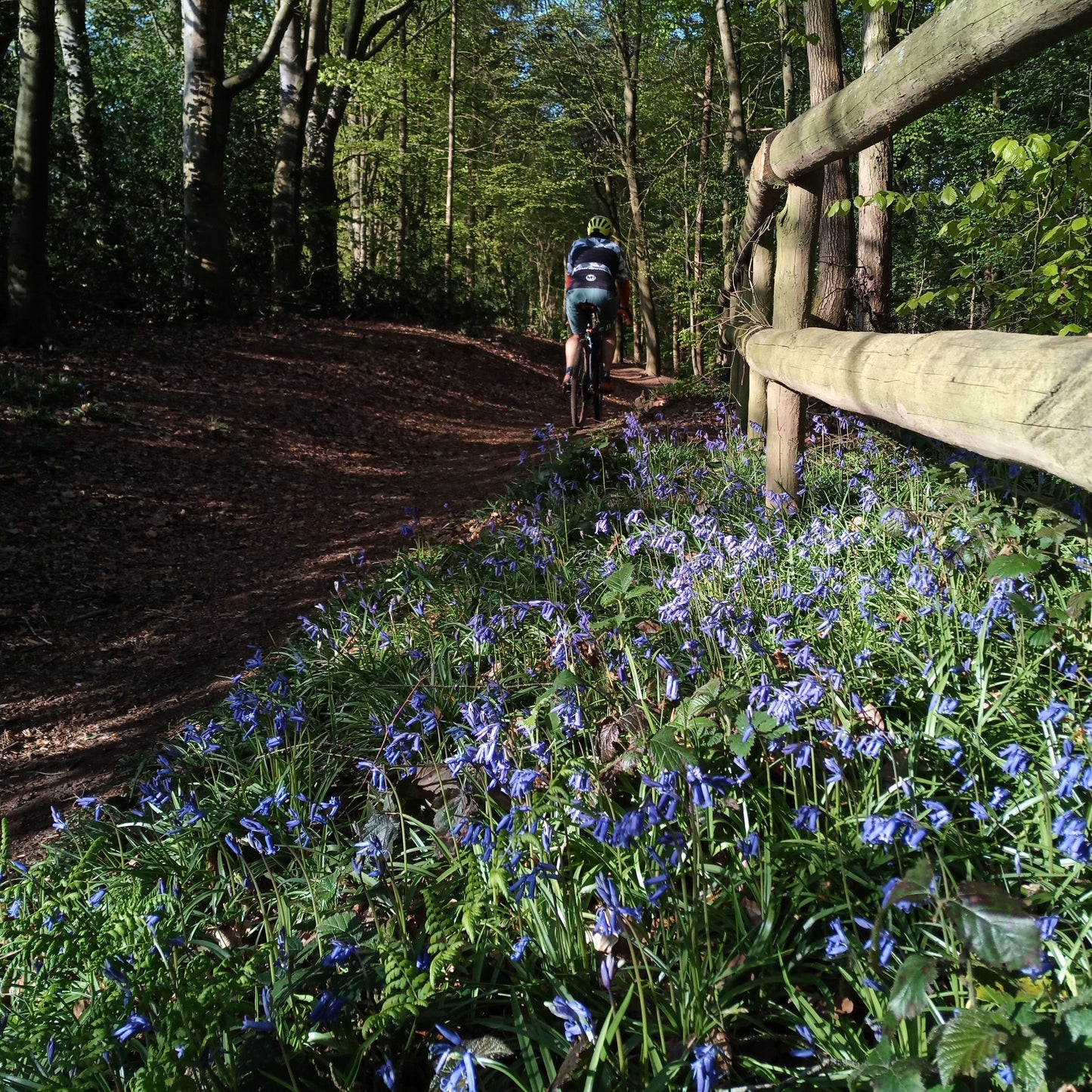 Gravel Hugger - Rear