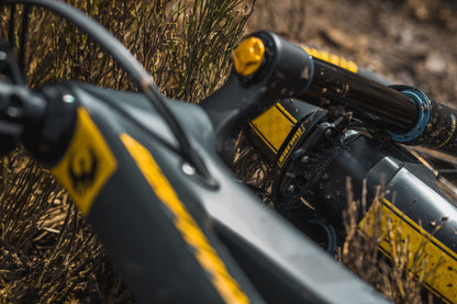 EVO Adapter Pack - OHLINS