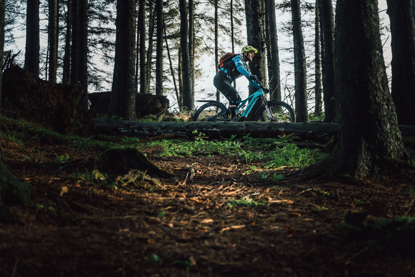 Mudhugger EVO Bolt-On (LONG) - DEFAULT FOX