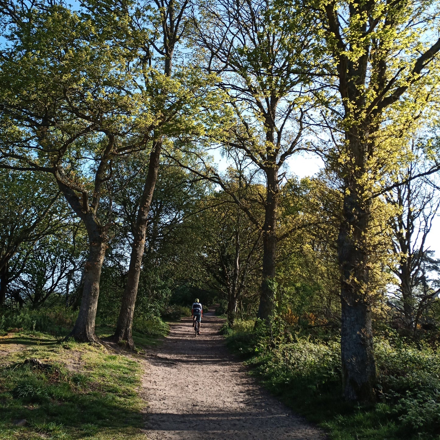 Gravel Hugger - Front