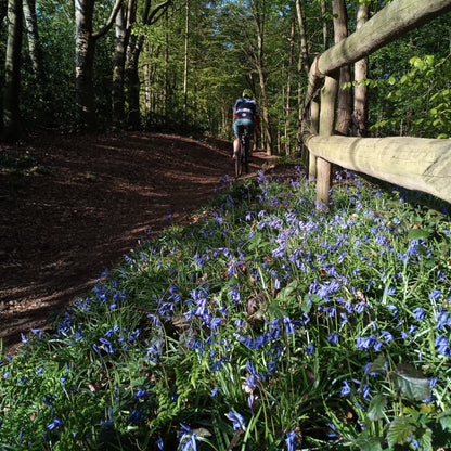 Gravel Hugger - Rear