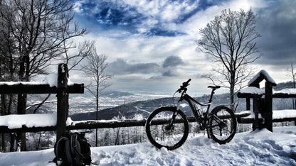 The 'Original' SMALL rear Mudhugger